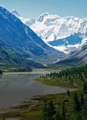 Белуха